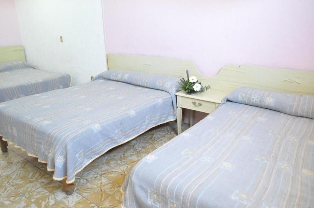 Hotel Viena Irapuato Ngoại thất bức ảnh