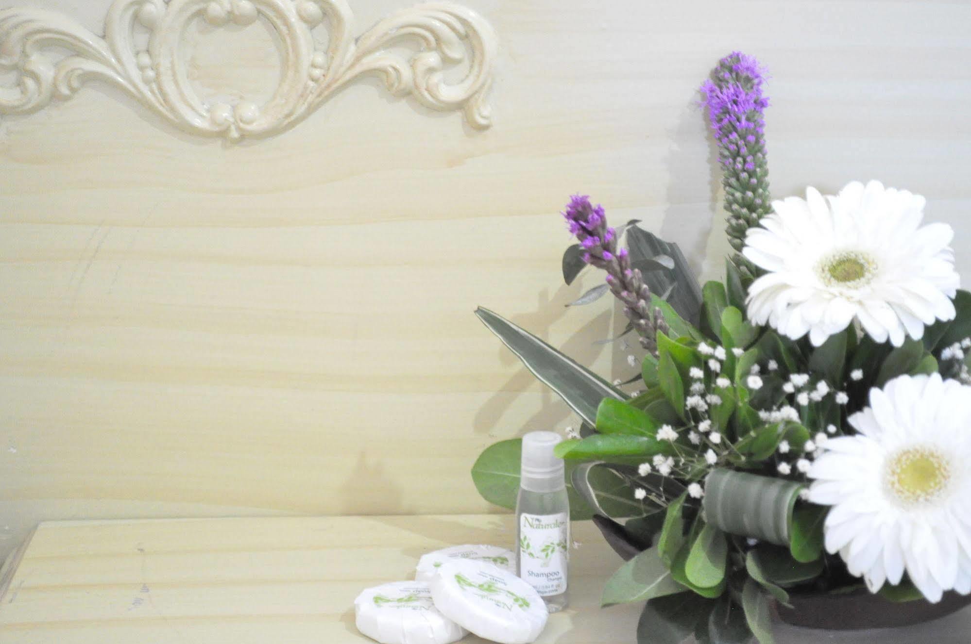 Hotel Viena Irapuato Ngoại thất bức ảnh